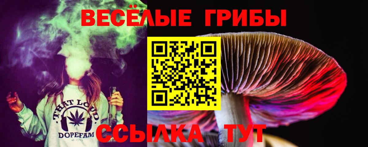 Новошахтинск  Псилоцибиновые грибы Cubensis  Вход с VPN 